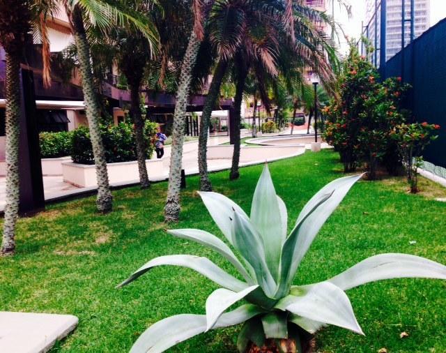 Delicioso Com Linda Vista Apartamento *